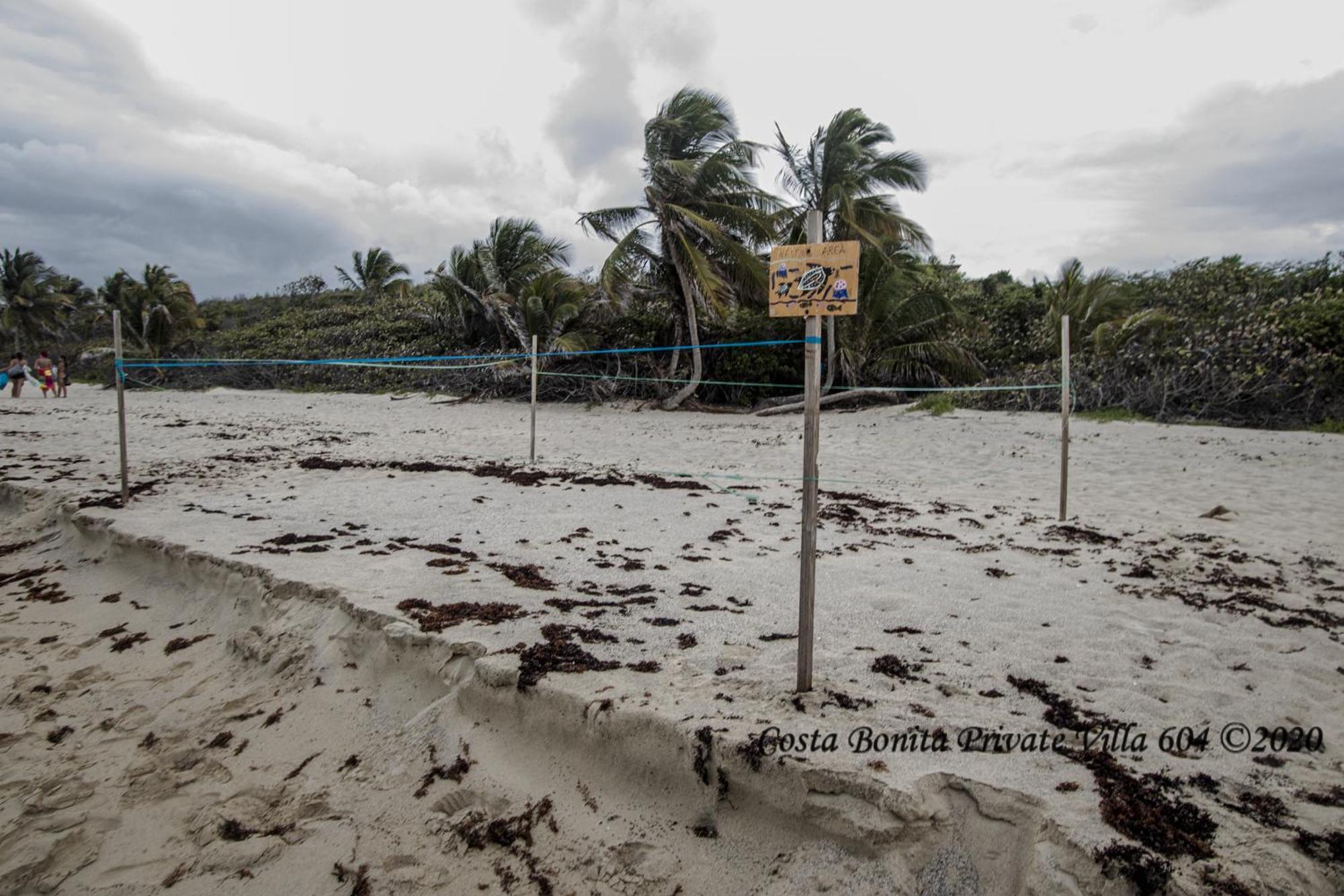 Costa Bonita Private Villa 604 Isla Culebra المظهر الخارجي الصورة